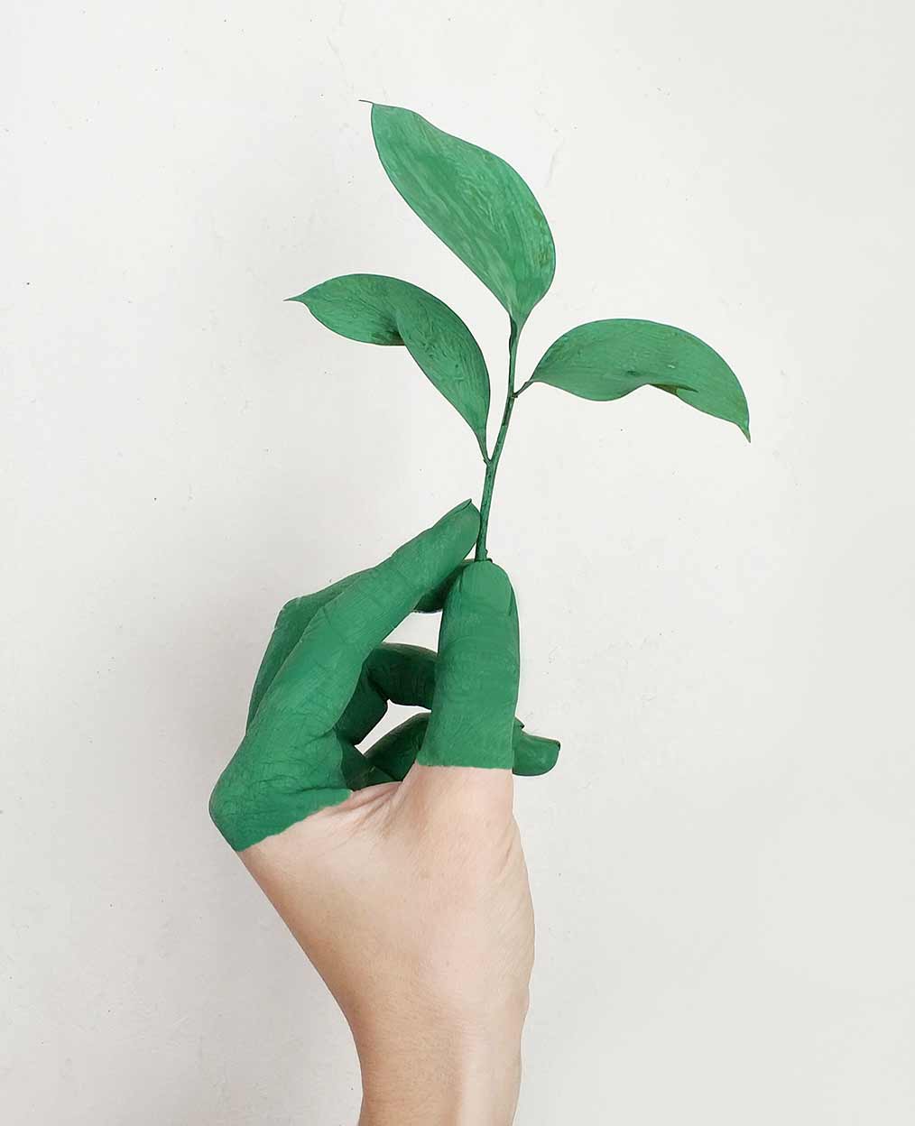 Green Fingers Holding Small Plant Green Fingers Holding Small Plant